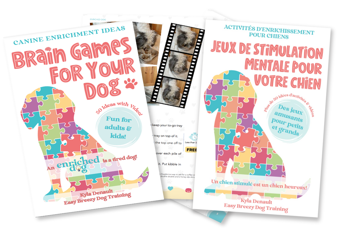 brain games, Dog, Brain Games For Dogs Book